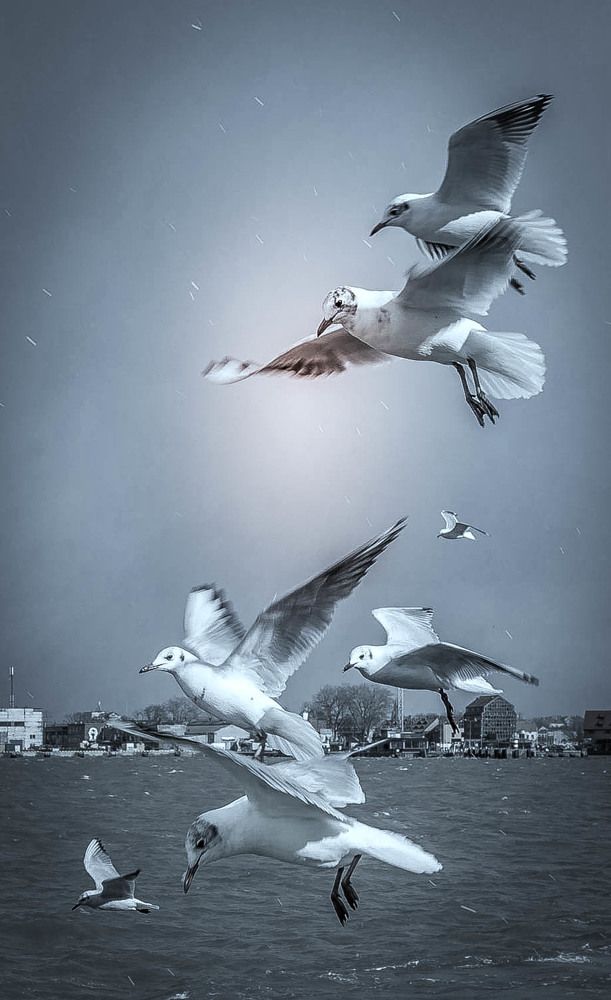 Photograph by Ineta Osipoviča