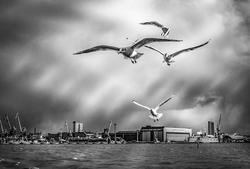 Photograph by Ineta Osipoviča