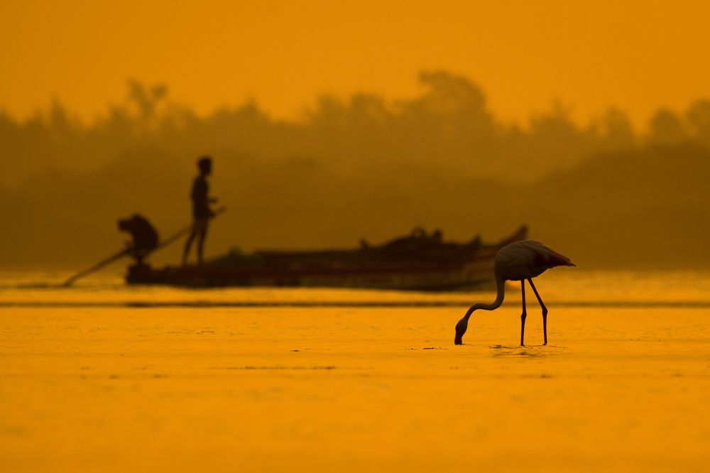 Photograph by Vivek Sundaram