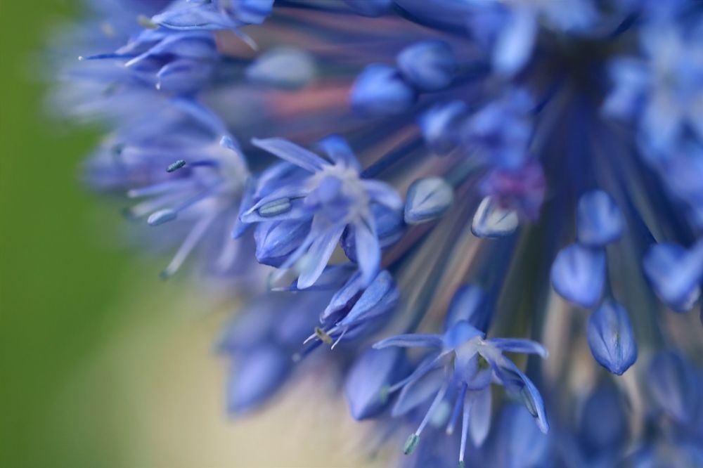 Photograph by Ольга Метлицкая