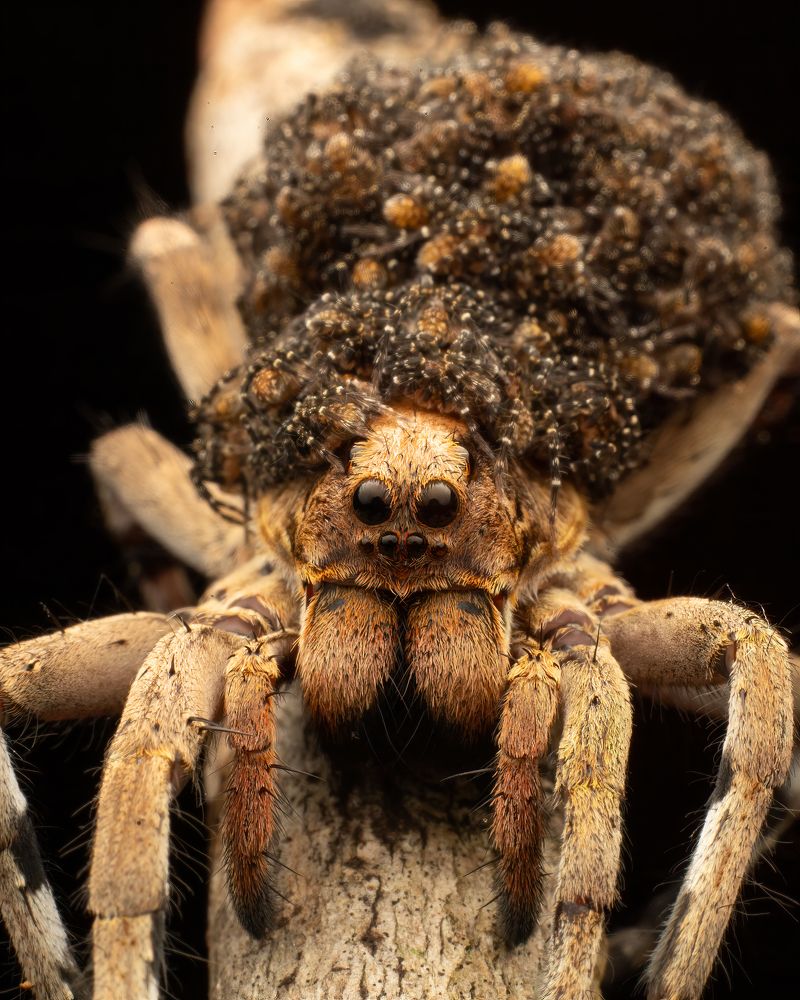 Photograph by Vivek Sundaram