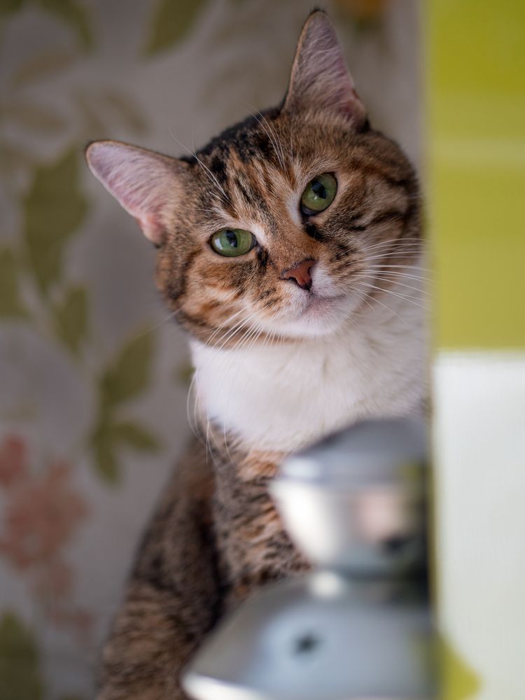 Photograph by Шейко Анна