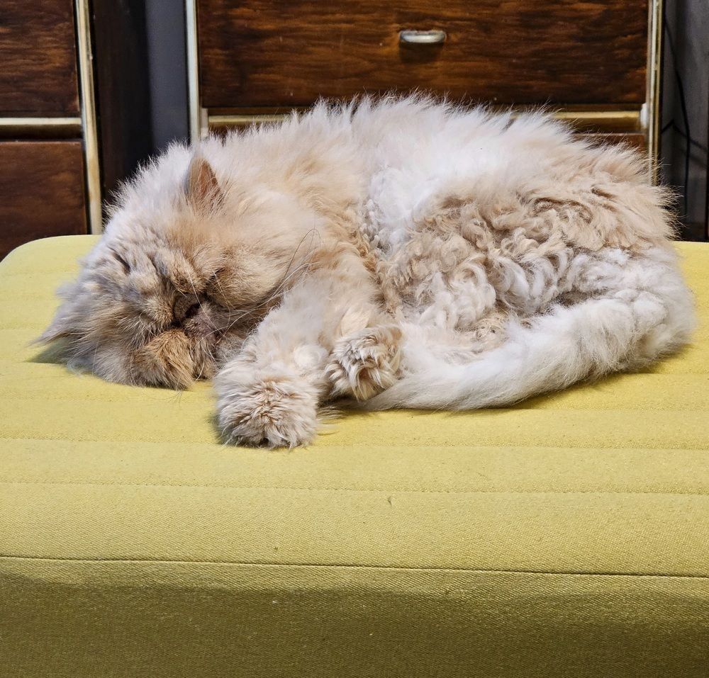 Photograph by Angelika Sokolova