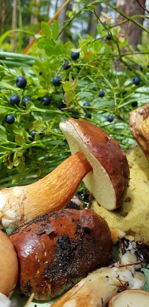 Photograph by наталья