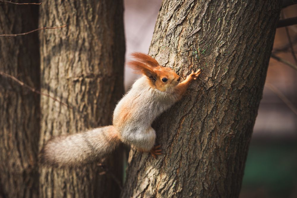 Фотография автора Ольга Тенилова