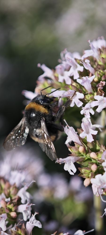 Photograph by Igoris Zurovas