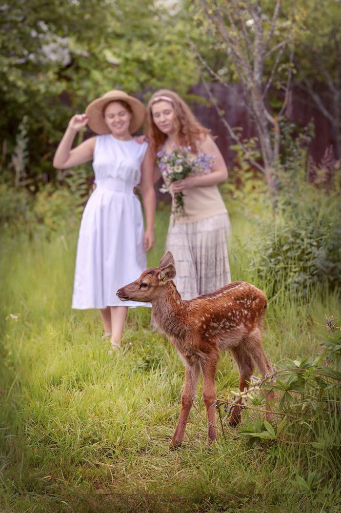 встреча с олененком