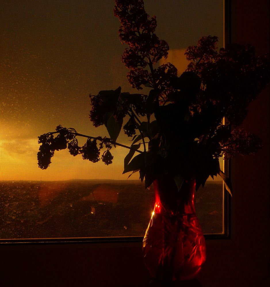 Photograph by Darya Dolinina