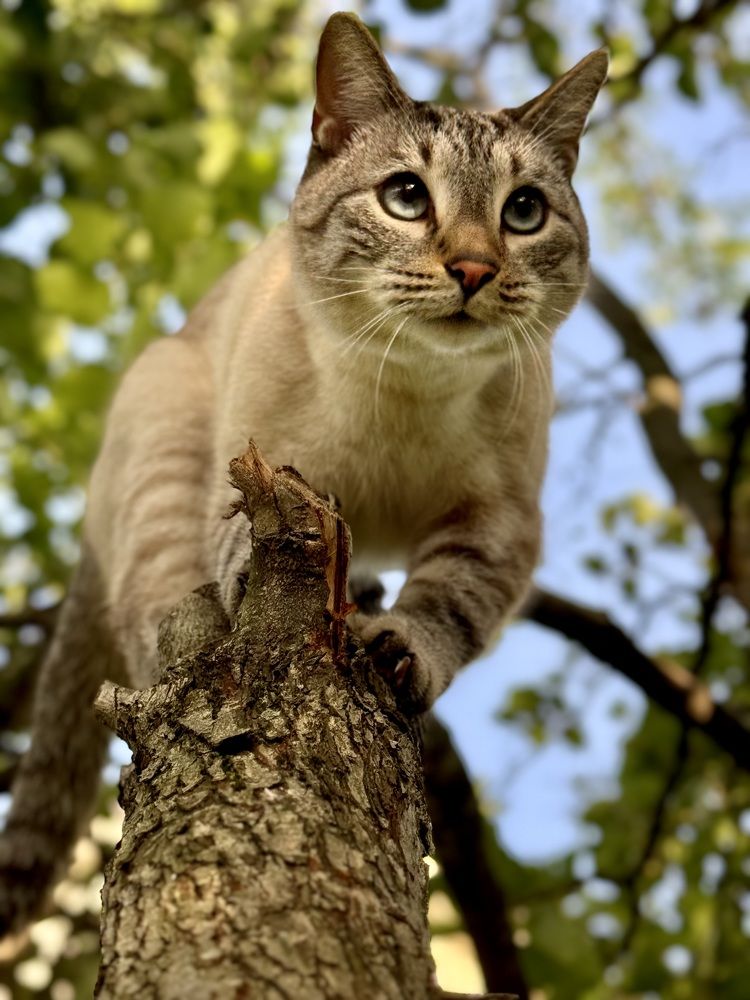 Photograph by Елена Карпухно