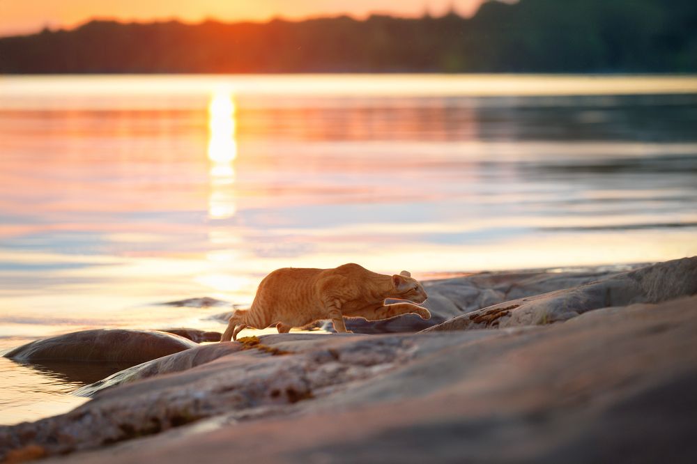 Photograph by Светлана Писарева