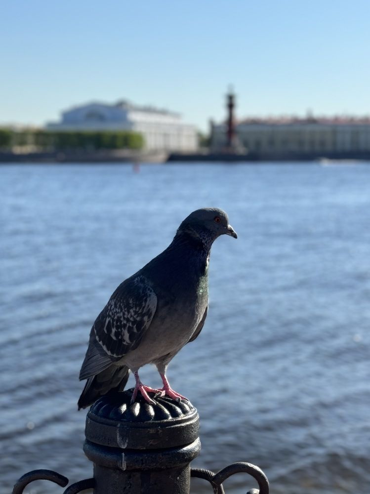 Photograph by Елена Смирнова