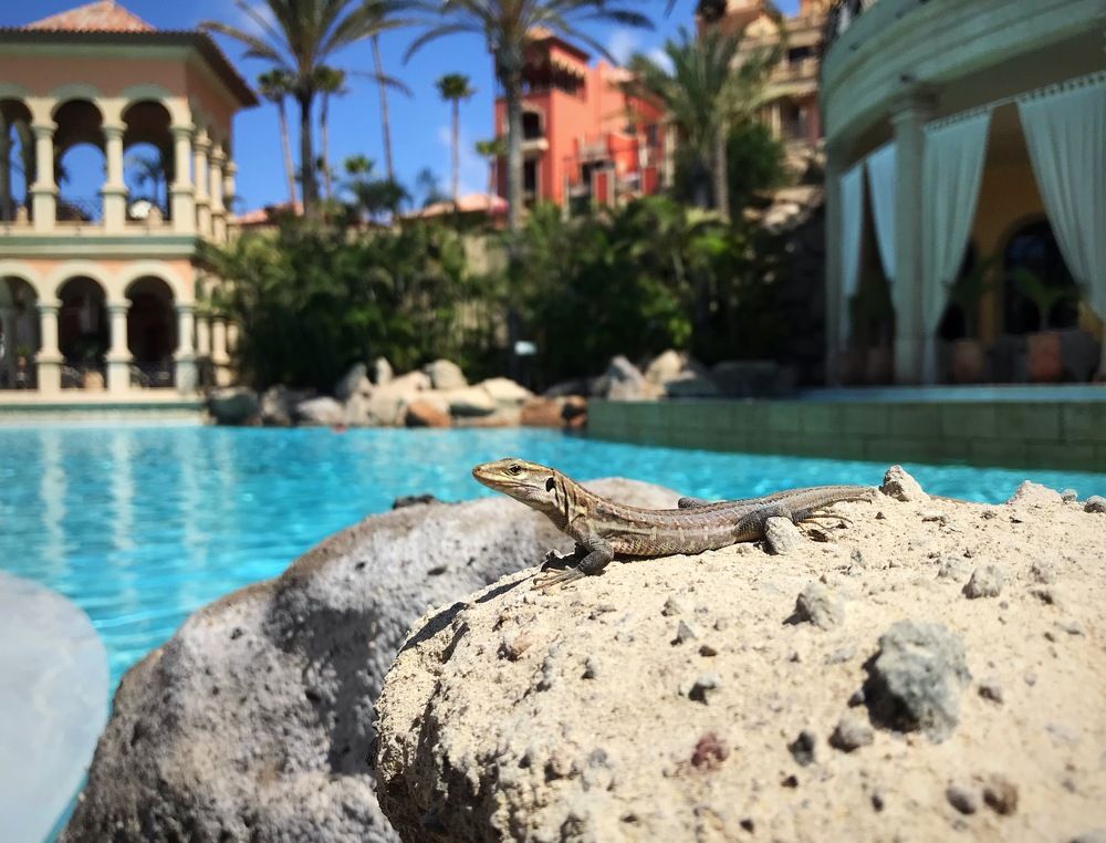 Photograph by Елена Смирнова