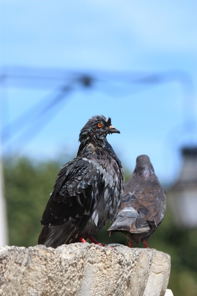 Photograph by Елена Смирнова