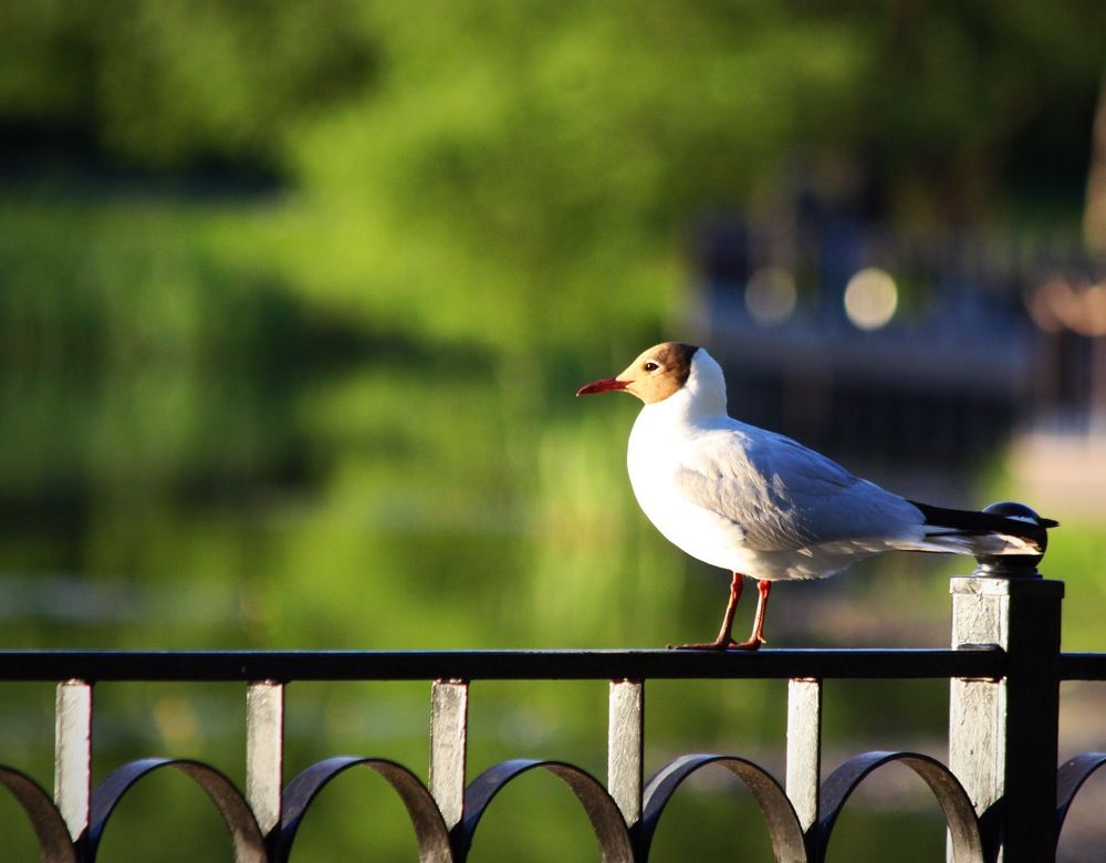 Photograph by Елена Смирнова