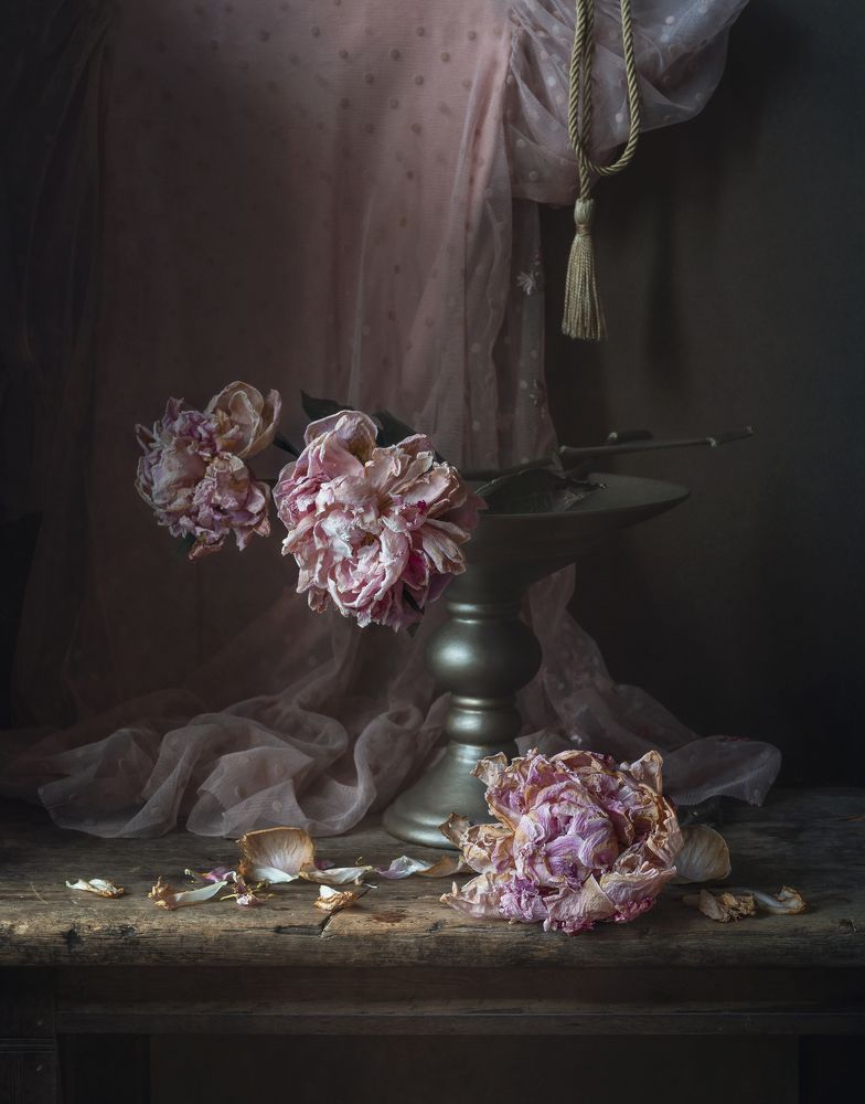 Photograph by Елена Виноградова