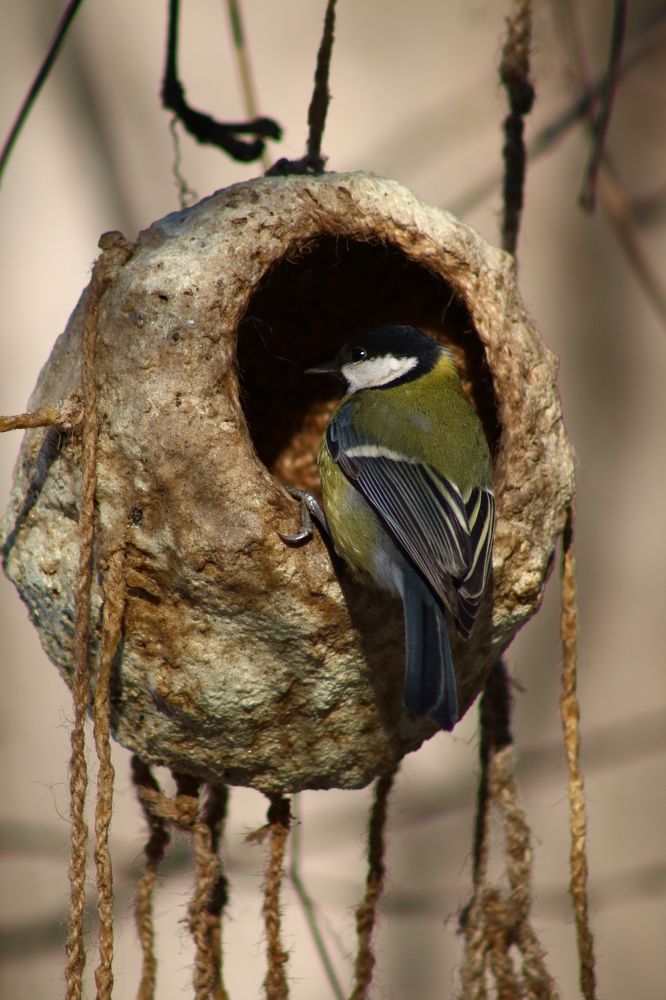 Photograph by Светлана Шуткова