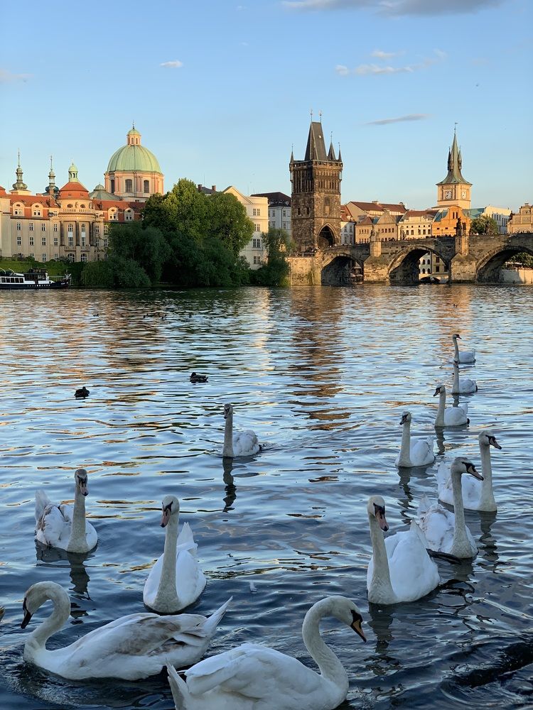 Photograph by Елена Смирнова