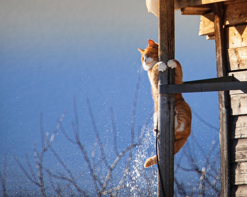 Photograph by Людмила Богданова