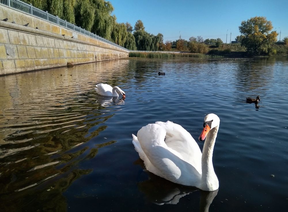 Photograph by Ирина Половцева