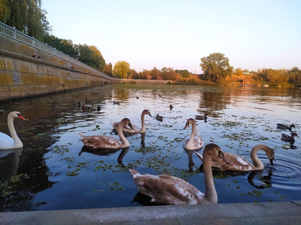 Photograph by Ирина Половцева