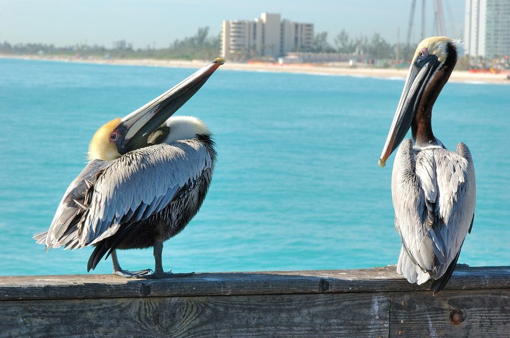 Photograph by Сергей Сынтин