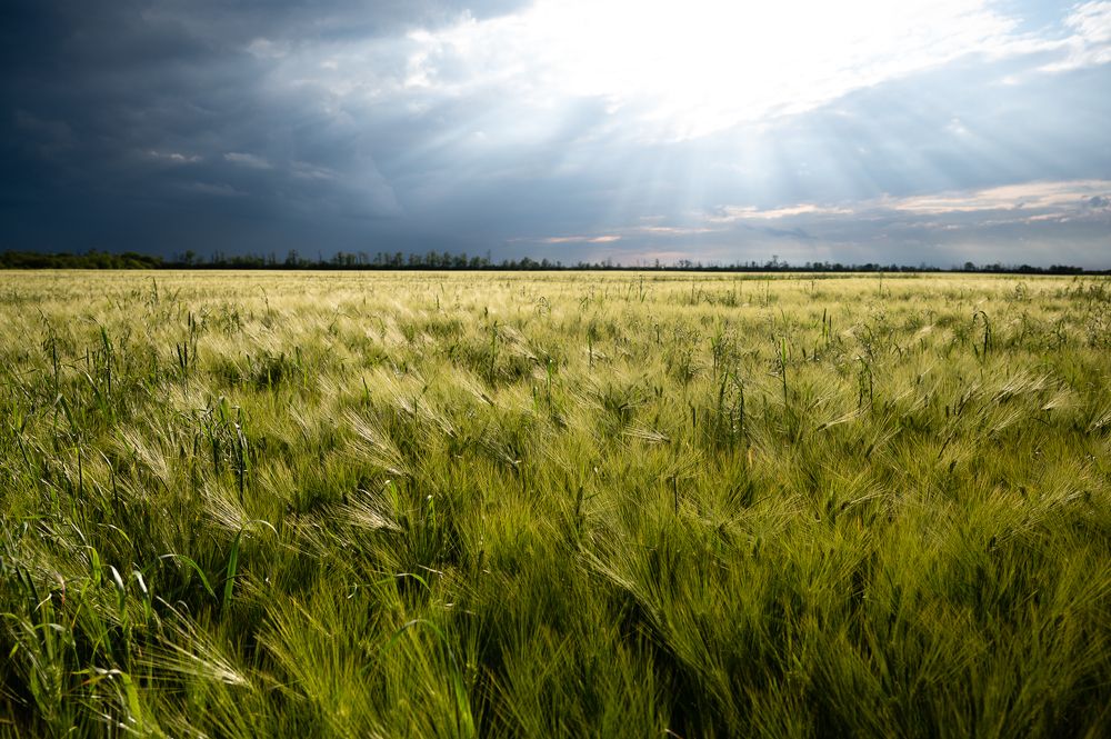 Photograph by Рыков Сергей