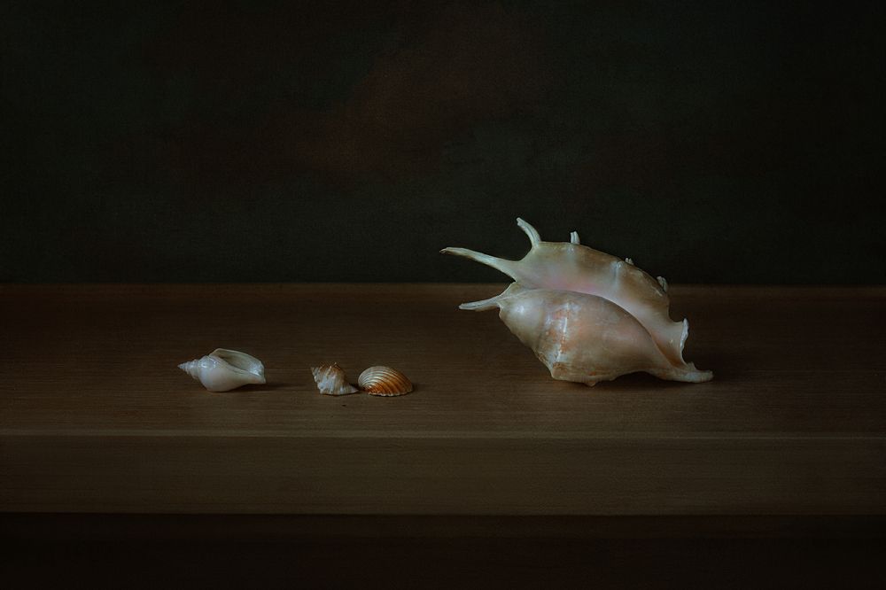 Photograph by Алиса Константиновна