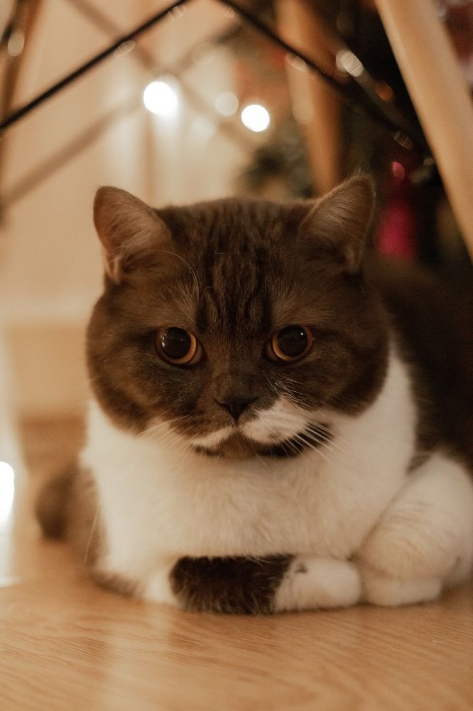 Photograph by Nataliya Mirkulenko