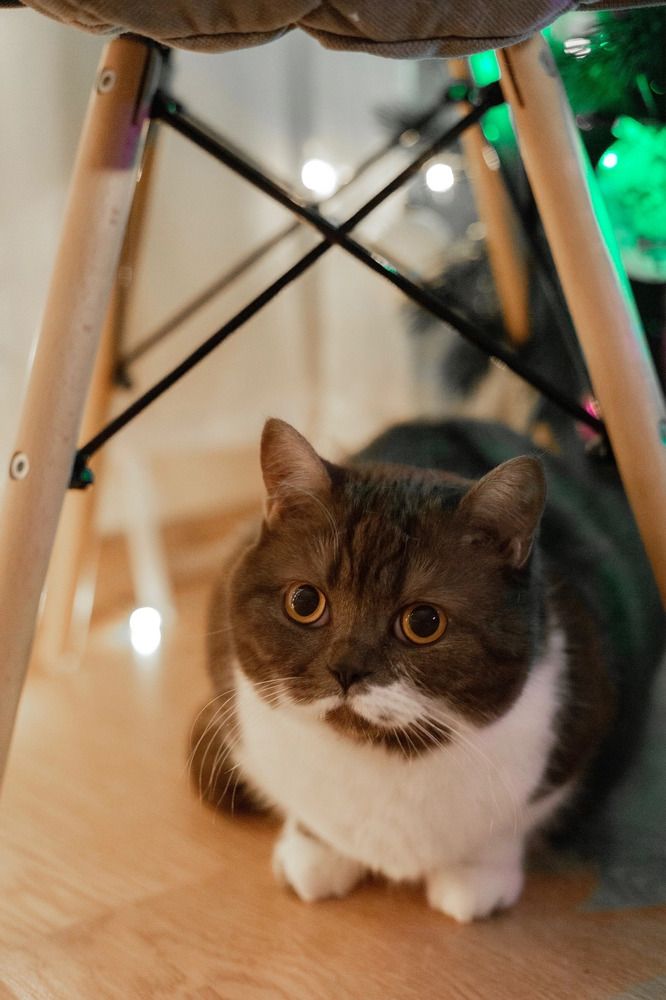 Photograph by Nataliya Mirkulenko