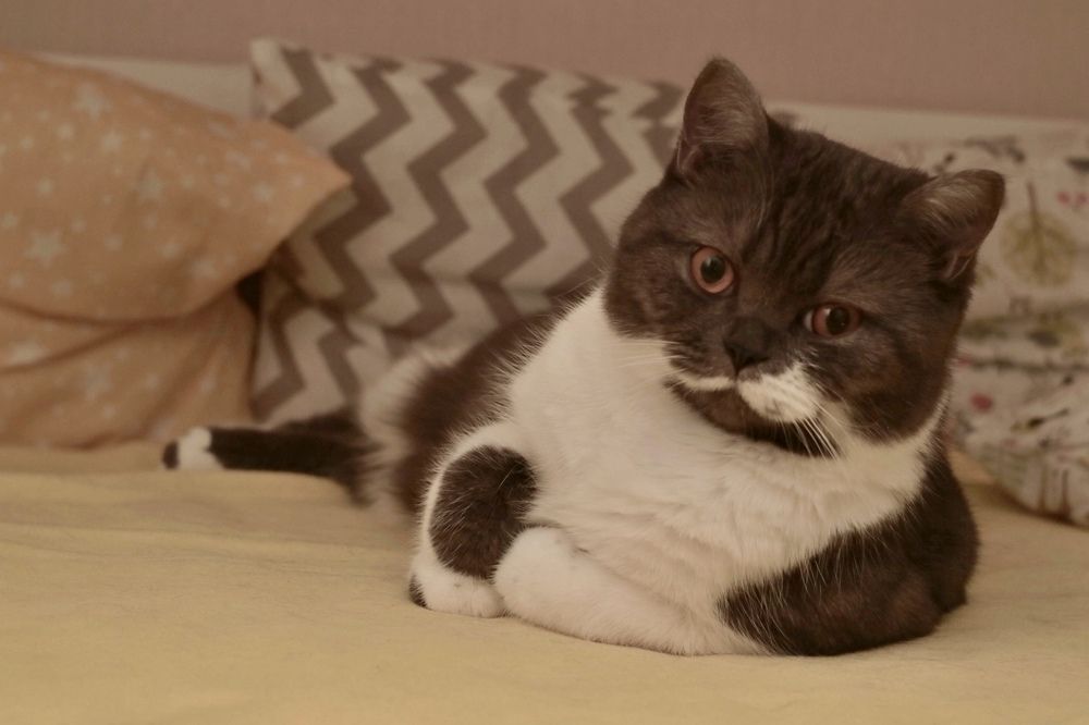 Photograph by Nataliya Mirkulenko