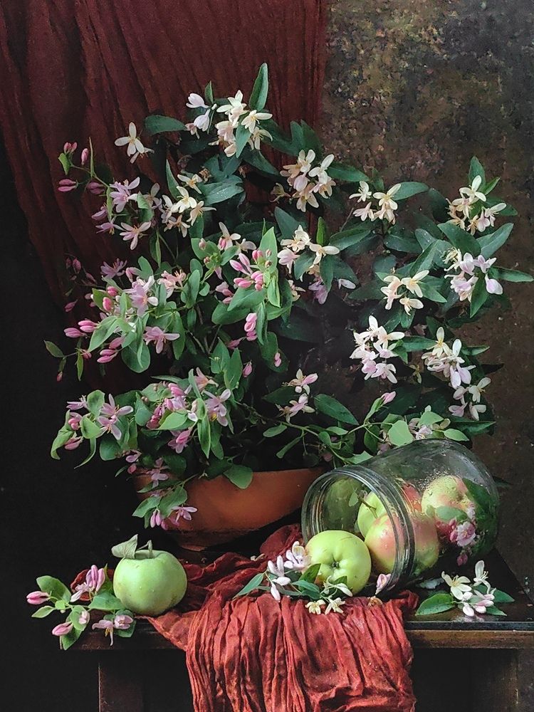 Photograph by Ирина Ветюгова