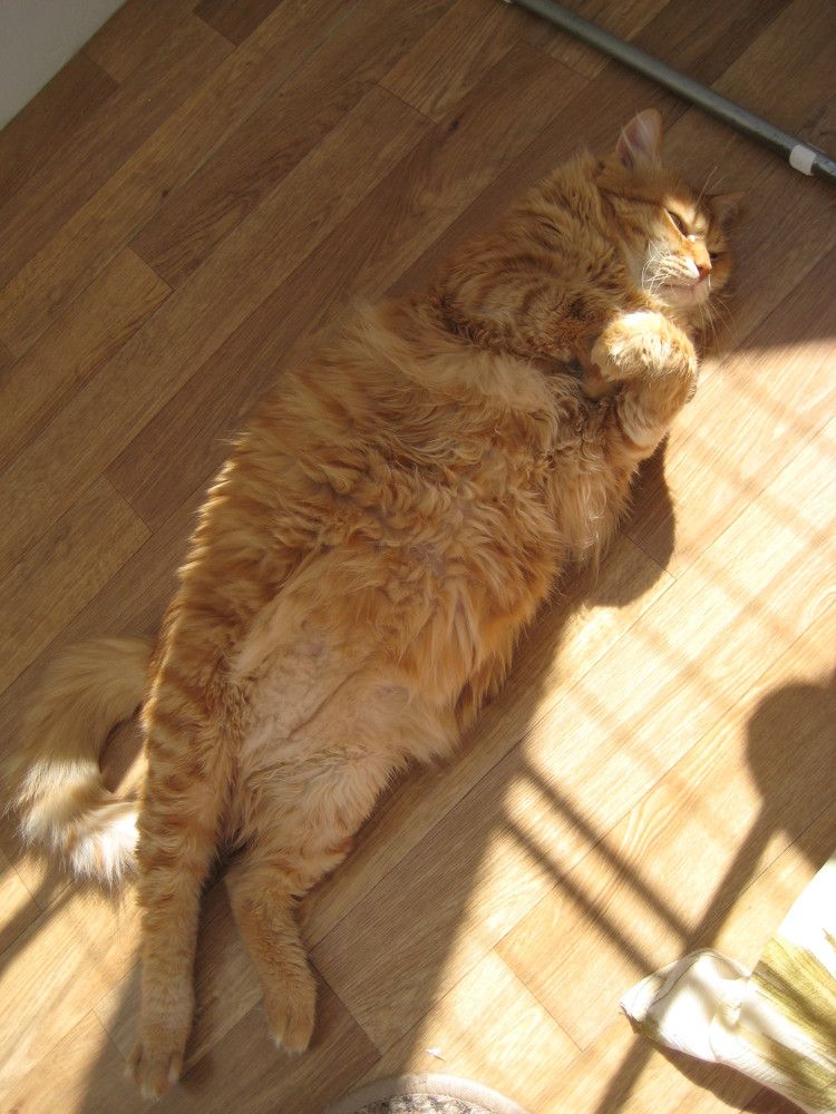 Photograph by Людмила Баглей