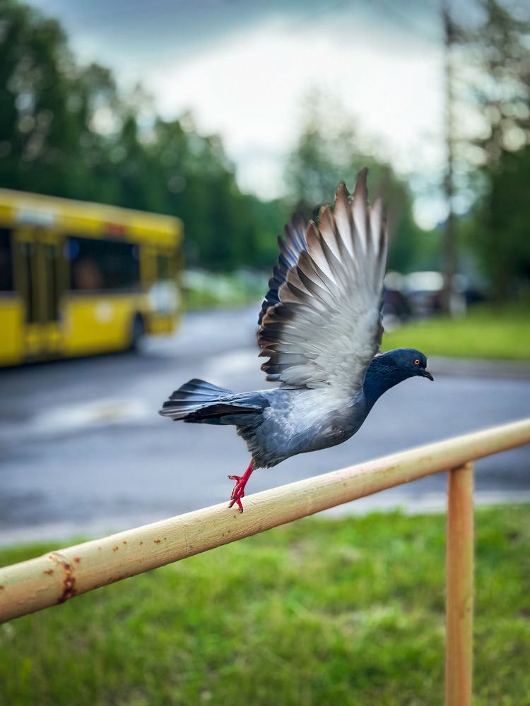 Photograph by Татьяна Бегун