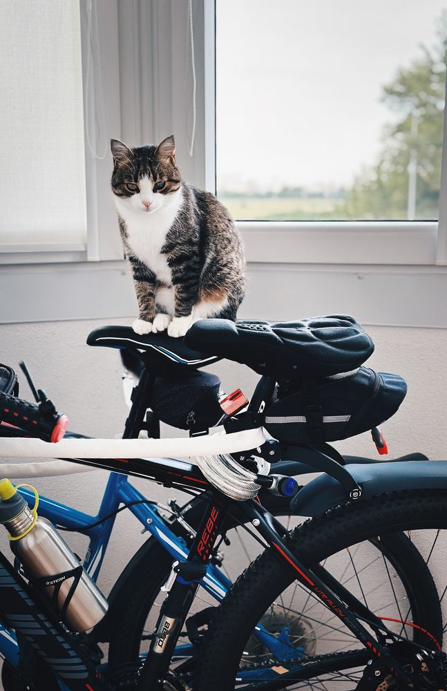 Photograph by Татьяна Бегун