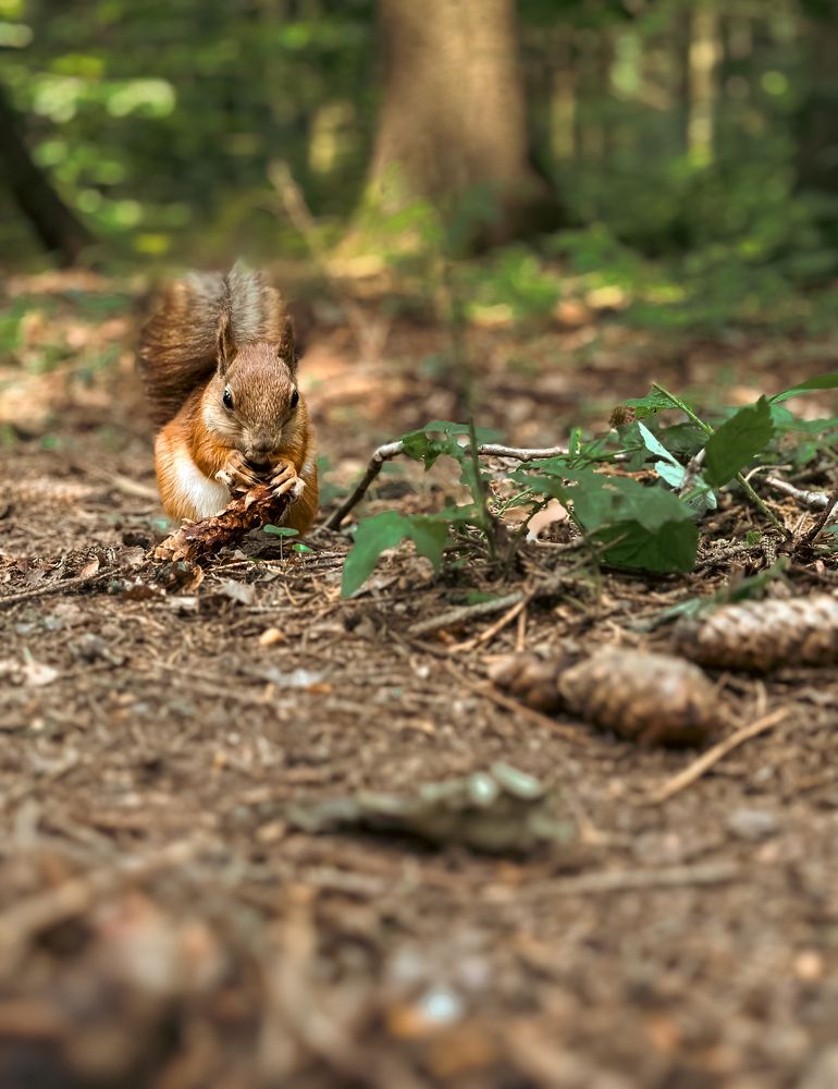 Photograph by Татьяна Бегун