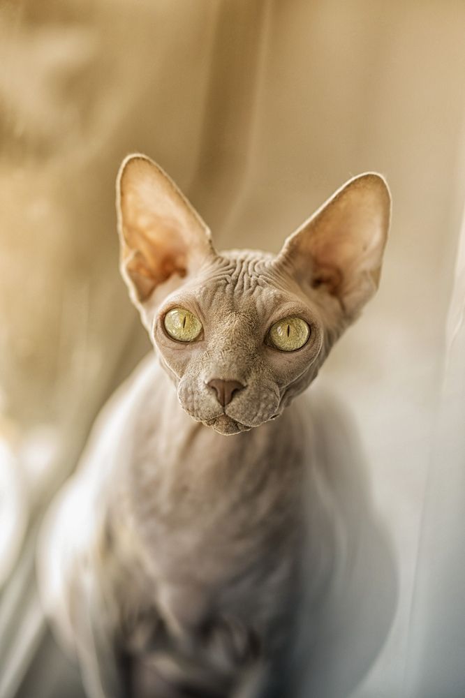 Photograph by Oxana Denina