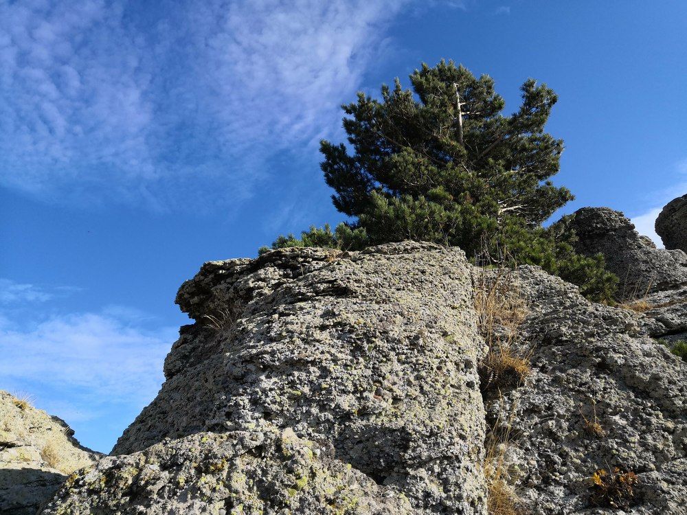 Photograph by Елена Глуздовская