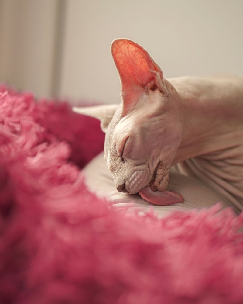 Photograph by Oxana Denina