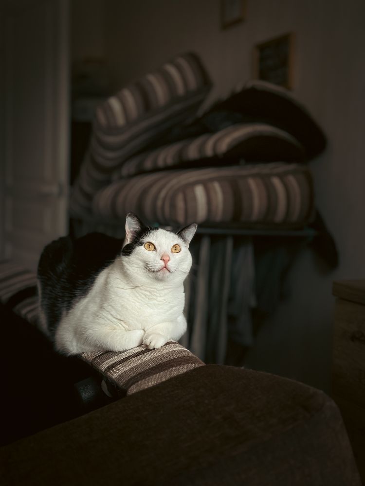 Photograph by Татьяна Бегун