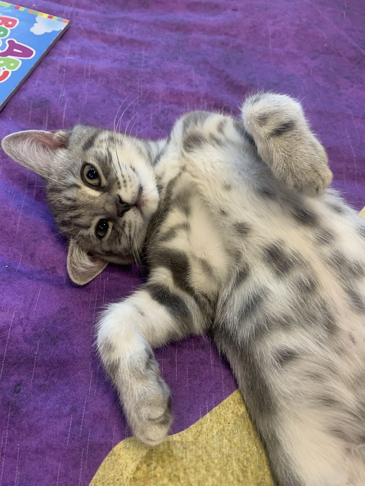 Фотография автора Алёна Царькова