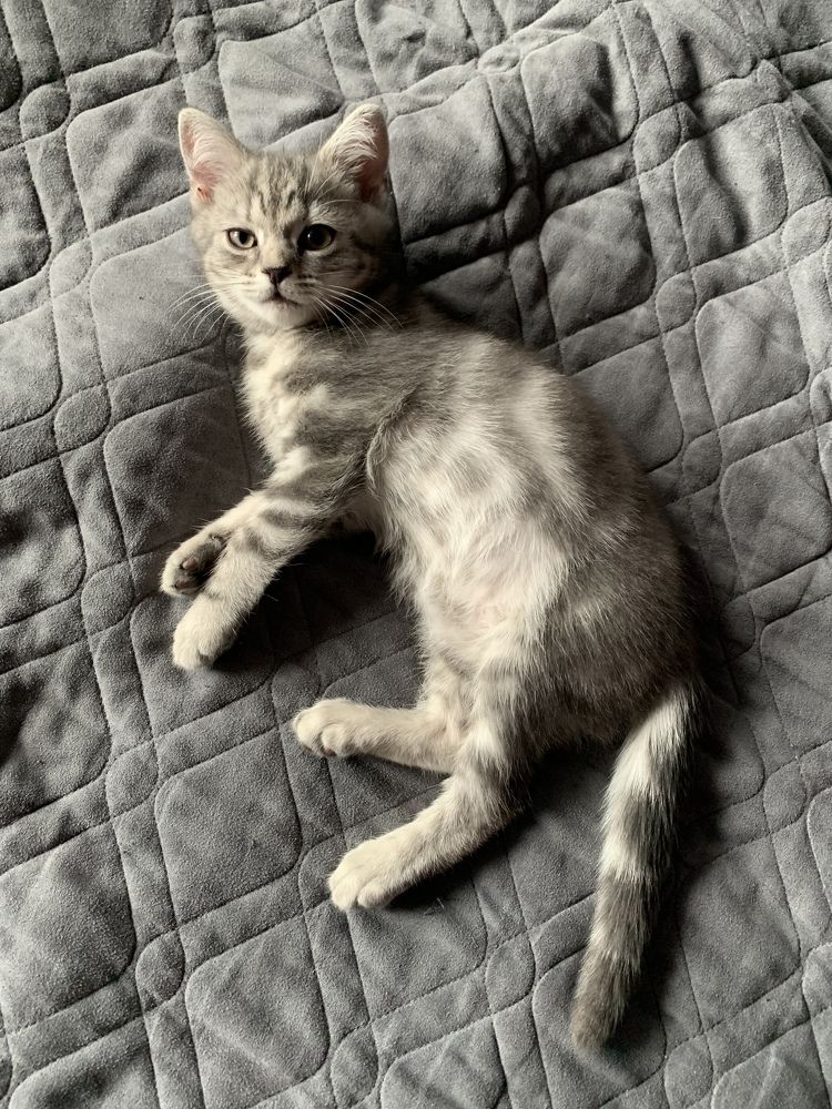 Фотография автора Алёна Царькова