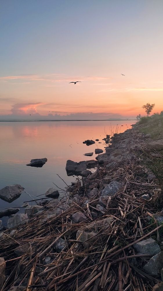 Photograph by Олеся