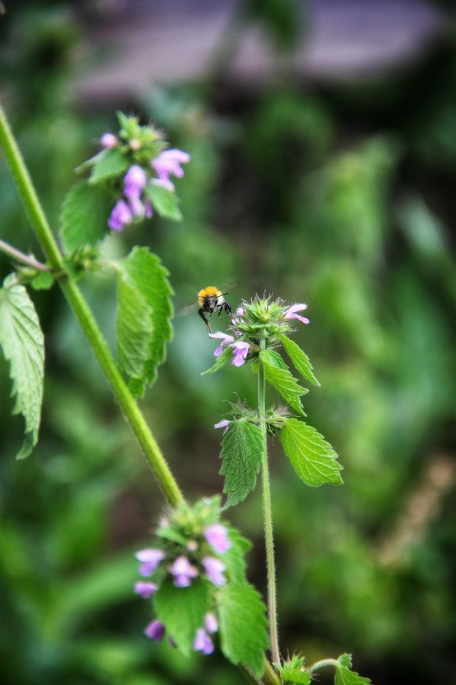 Photograph by Олеся