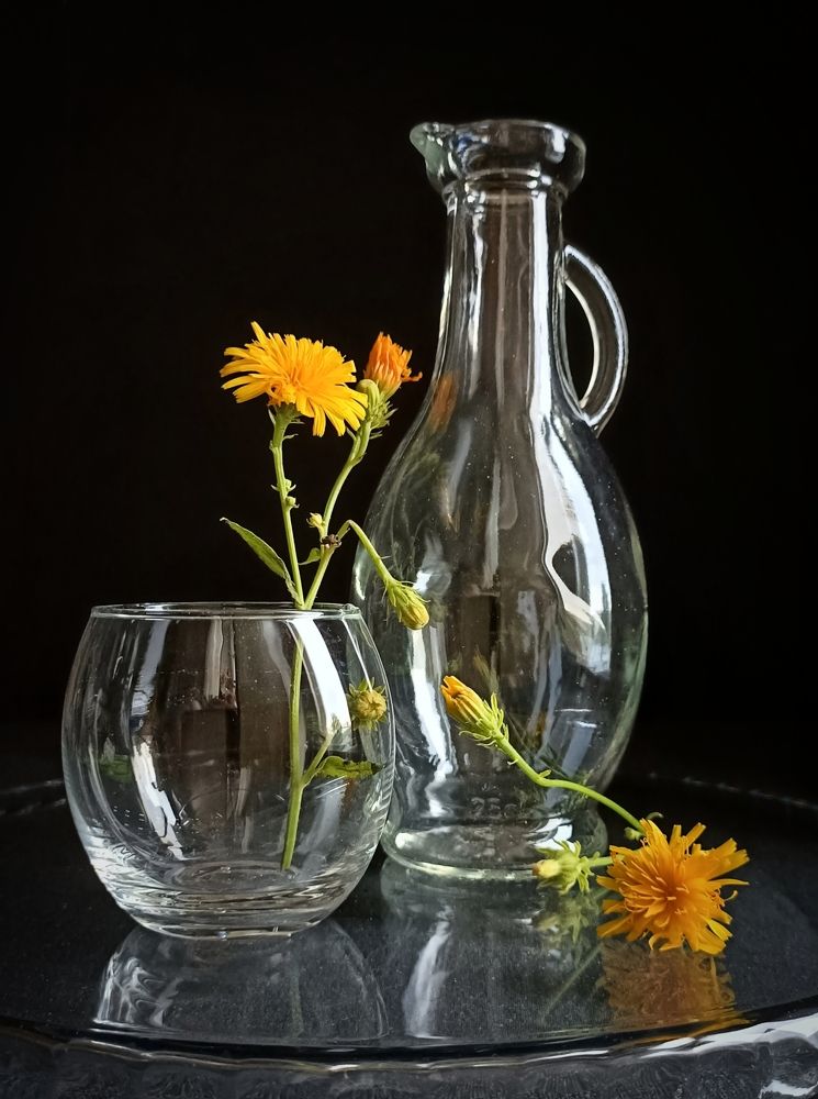 Фотография автора Татьяна Лука