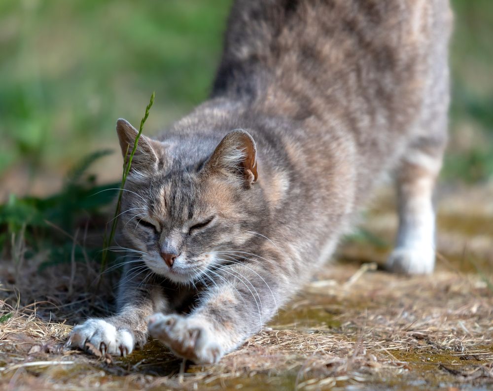 Photograph by Константин Чижов