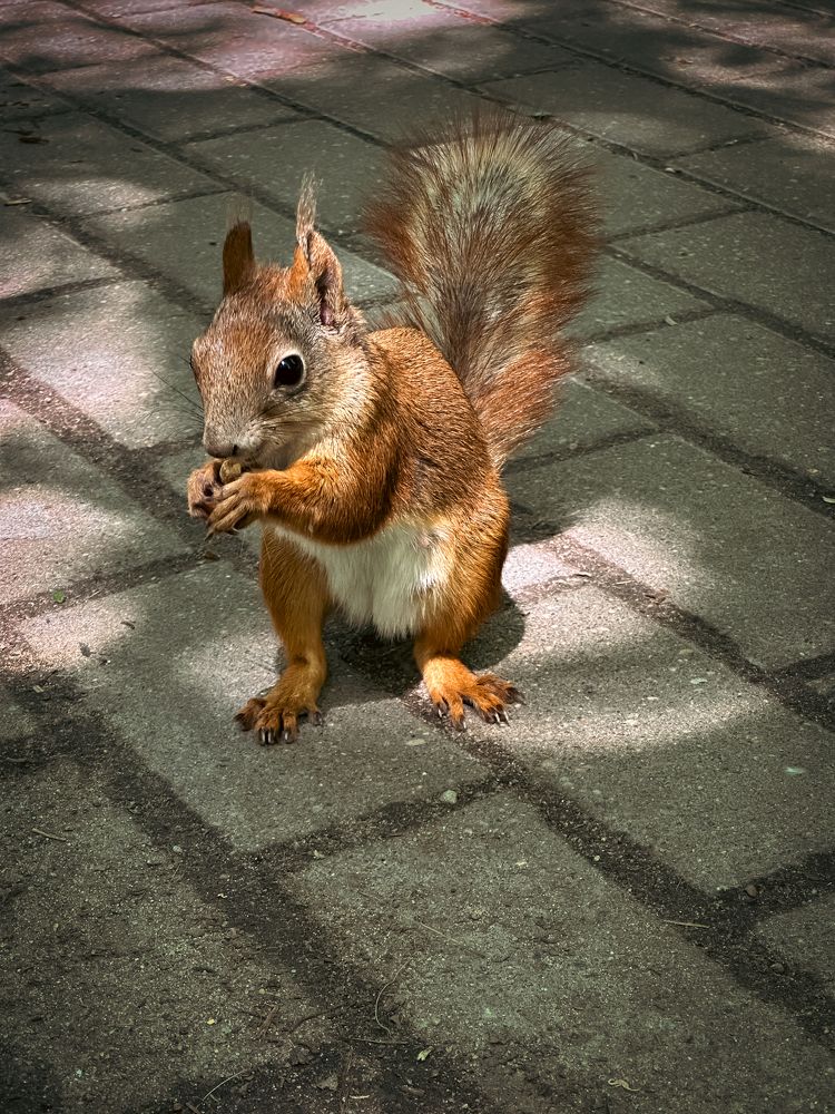 Photograph by Татьяна Бегун