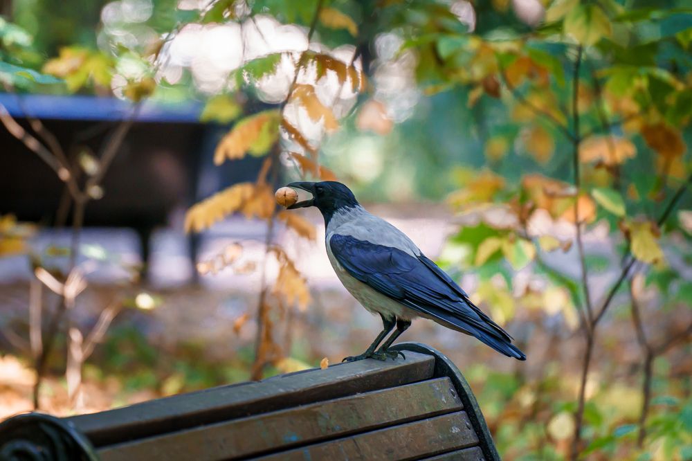 Photograph by Алексей Еремеев