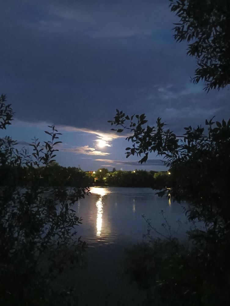 Photograph by Елена Можаева