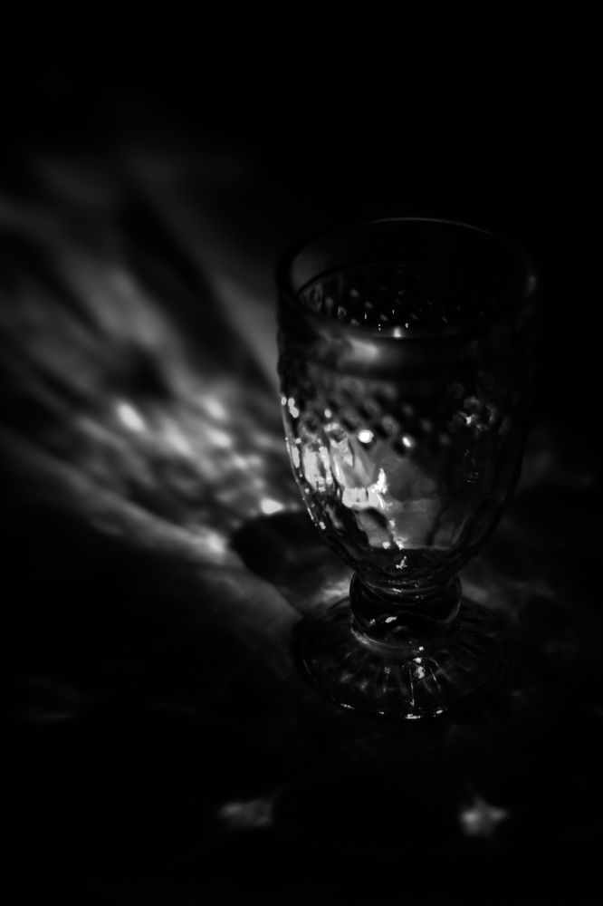 Фотография автора Ксения Вабищевич