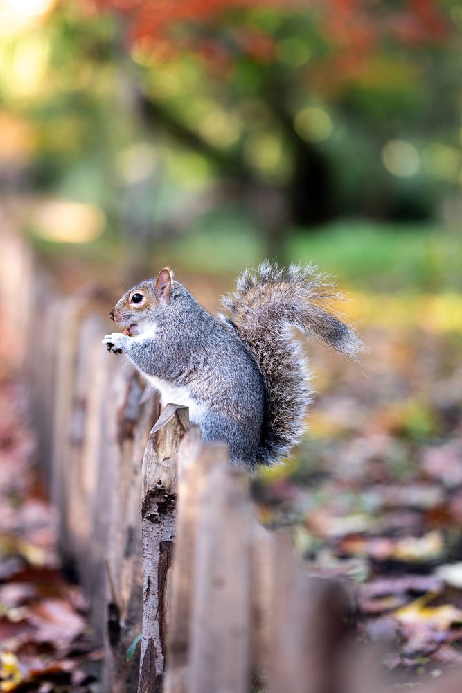 Photograph by Анастасия